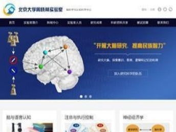 图 北京专业定制网站建设 送域名服务器 免费策划 北京网站建设推广